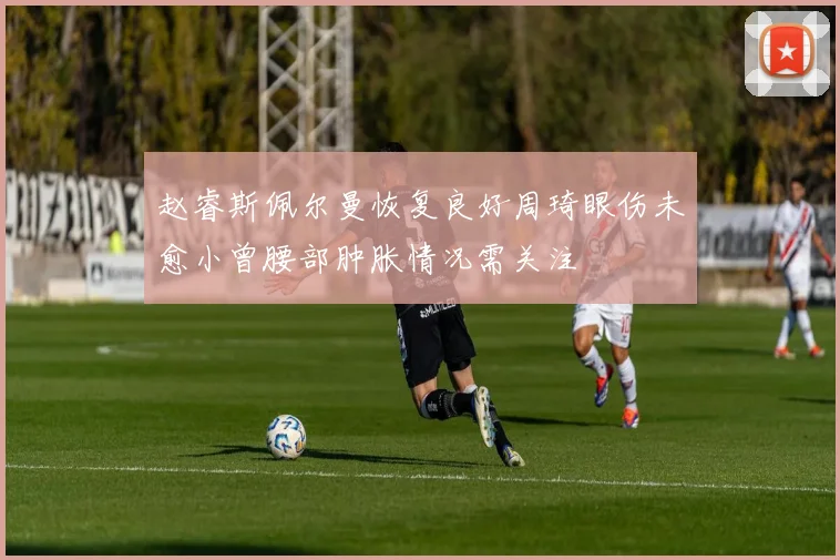 赵睿斯佩尔曼恢复良好周琦眼伤未愈小曾腰部肿胀情况需关注
