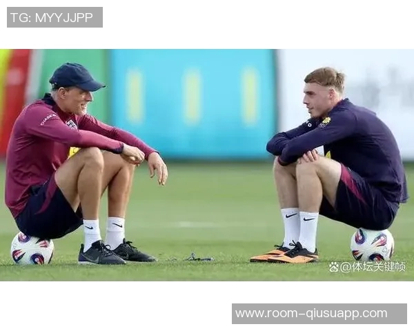 帕尔默因腹股沟伤势缺阵至11月将缺席至少四场重要比赛